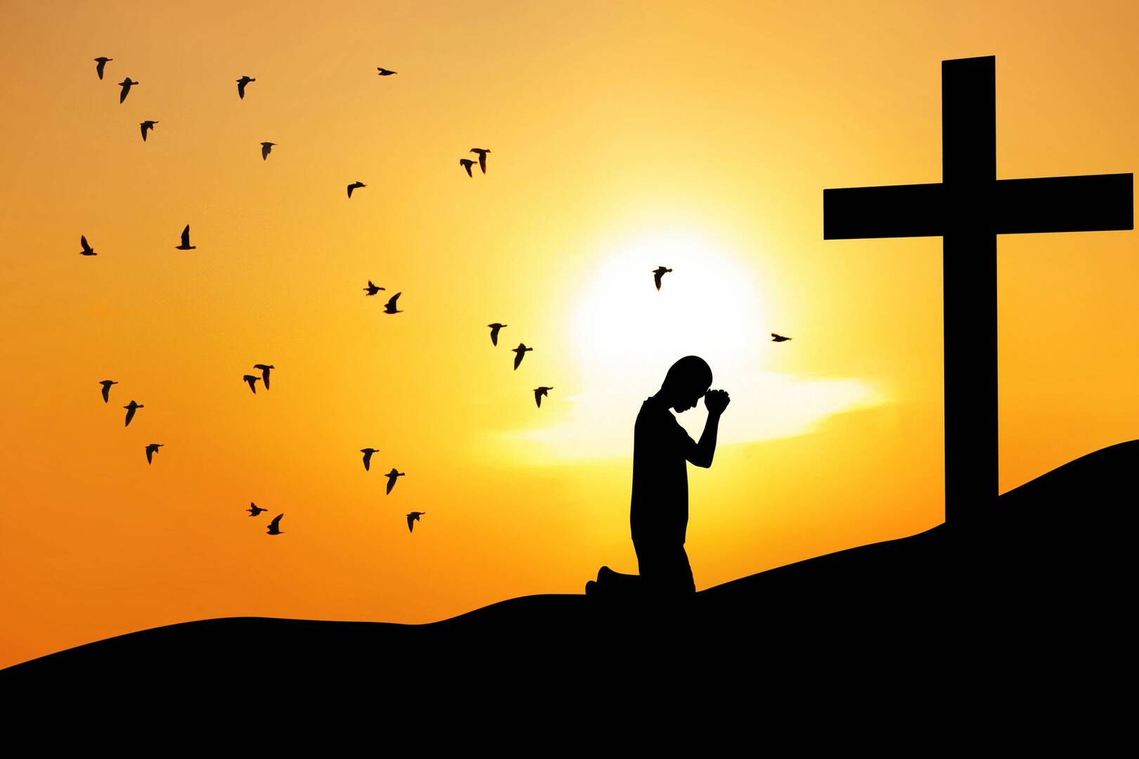 Marotti-Burns Funeral & Cremation Services